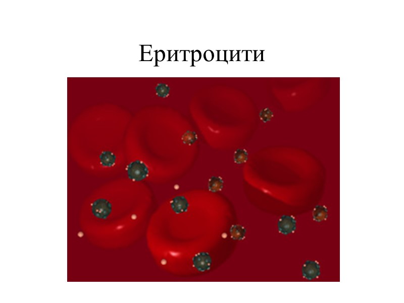 Еритроцити